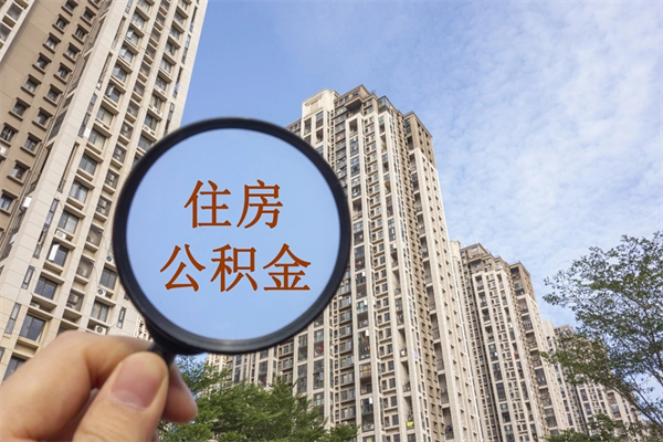 七台河辞职可以取住房公积金吗（我辞职了可以提取住房公积金吗）